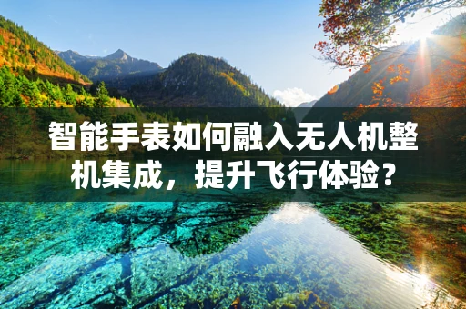 智能手表如何融入无人机整机集成，提升飞行体验？