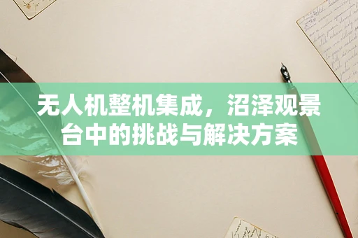 无人机整机集成，沼泽观景台中的挑战与解决方案