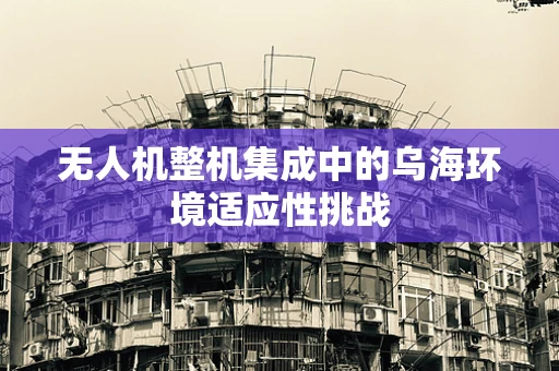 无人机整机集成中的乌海环境适应性挑战