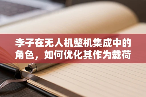 李子在无人机整机集成中的角色，如何优化其作为载荷的效能？