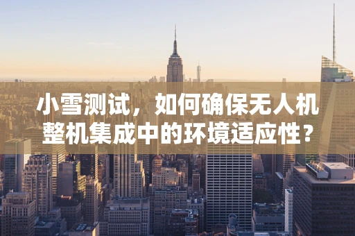 小雪测试，如何确保无人机整机集成中的环境适应性？