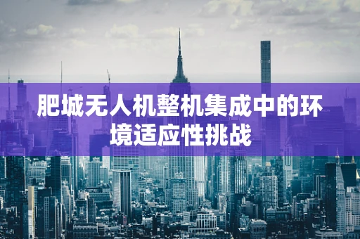 肥城无人机整机集成中的环境适应性挑战