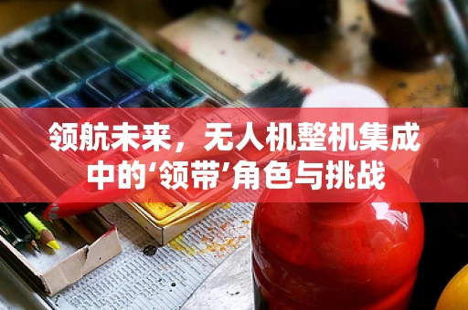 领航未来，无人机整机集成中的‘领带’角色与挑战