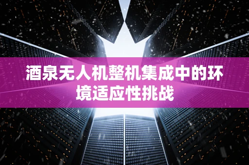 酒泉无人机整机集成中的环境适应性挑战