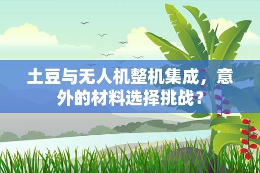 土豆与无人机整机集成，意外的材料选择挑战？