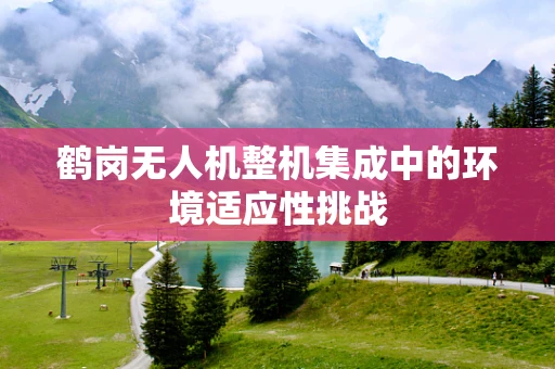 鹤岗无人机整机集成中的环境适应性挑战