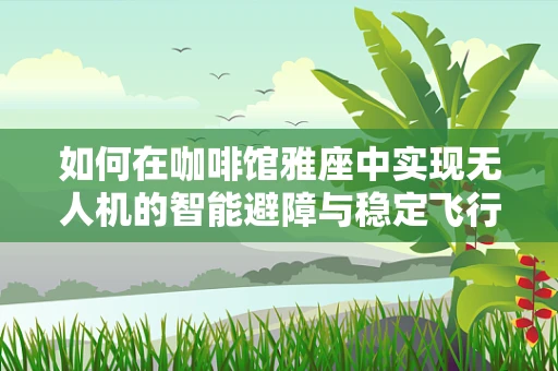 如何在咖啡馆雅座中实现无人机的智能避障与稳定飞行？
