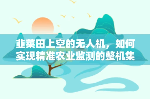 韭菜田上空的无人机，如何实现精准农业监测的整机集成挑战？