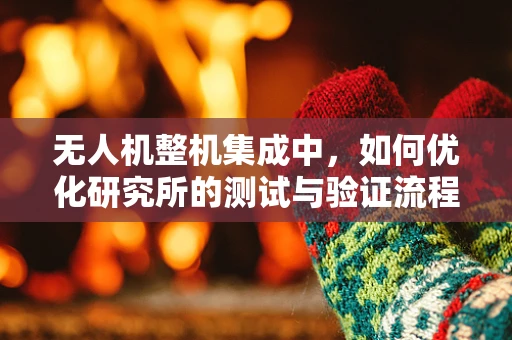 无人机整机集成中，如何优化研究所的测试与验证流程？