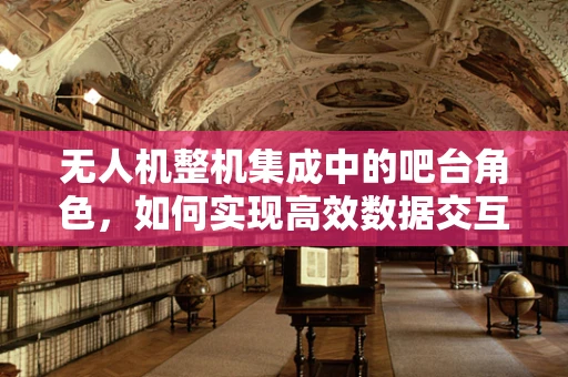 无人机整机集成中的吧台角色，如何实现高效数据交互与控制？