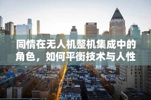 同情在无人机整机集成中的角色，如何平衡技术与人性的考量？