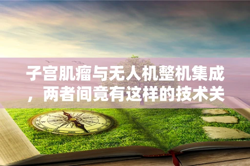 子宫肌瘤与无人机整机集成，两者间竟有这样的技术关联？