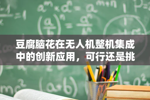 豆腐脑花在无人机整机集成中的创新应用，可行还是挑战？