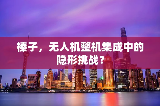 榛子，无人机整机集成中的隐形挑战？
