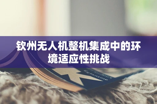 钦州无人机整机集成中的环境适应性挑战