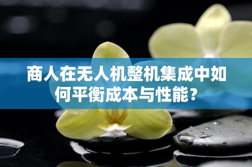 商人在无人机整机集成中如何平衡成本与性能？
