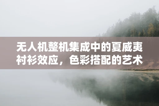 无人机整机集成中的夏威夷衬衫效应，色彩搭配的艺术与挑战