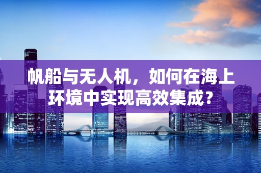 帆船与无人机，如何在海上环境中实现高效集成？