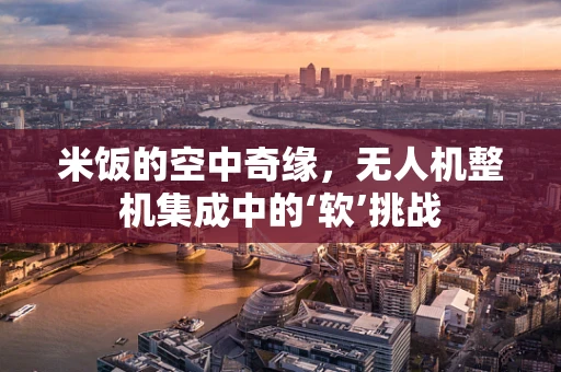 米饭的空中奇缘，无人机整机集成中的‘软’挑战