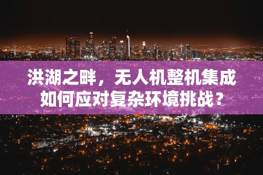 洪湖之畔，无人机整机集成如何应对复杂环境挑战？