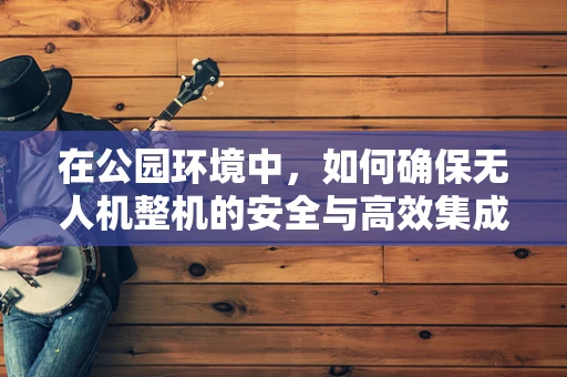 在公园环境中，如何确保无人机整机的安全与高效集成？