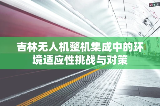 吉林无人机整机集成中的环境适应性挑战与对策