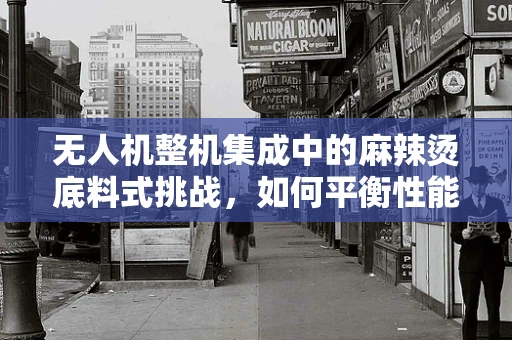 无人机整机集成中的麻辣烫底料式挑战，如何平衡性能与风味？