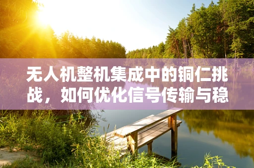 无人机整机集成中的铜仁挑战，如何优化信号传输与稳定性？
