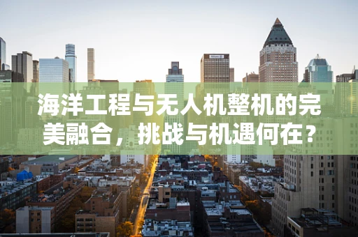 海洋工程与无人机整机的完美融合，挑战与机遇何在？