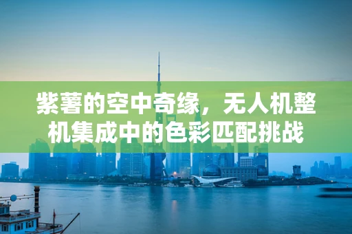 紫薯的空中奇缘，无人机整机集成中的色彩匹配挑战