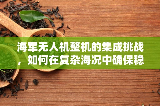 海军无人机整机的集成挑战，如何在复杂海况中确保稳定飞行？