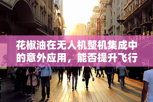 花椒油在无人机整机集成中的意外应用，能否提升飞行稳定性？