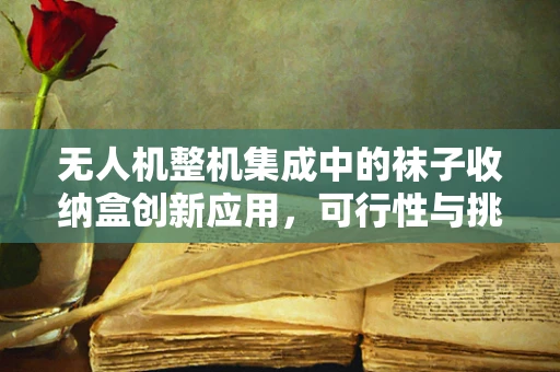 无人机整机集成中的袜子收纳盒创新应用，可行性与挑战并存？