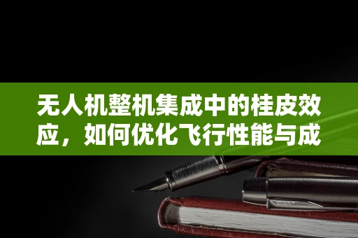 无人机整机集成中的桂皮效应，如何优化飞行性能与成本控制？