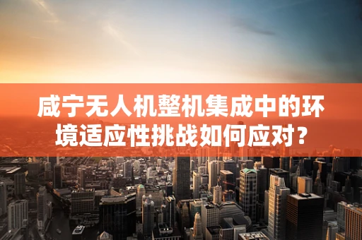 咸宁无人机整机集成中的环境适应性挑战如何应对？