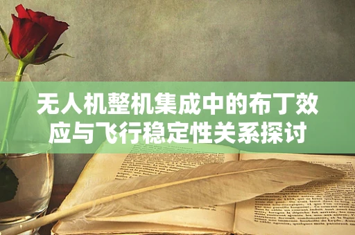 无人机整机集成中的布丁效应与飞行稳定性关系探讨