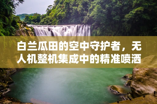 白兰瓜田的空中守护者，无人机整机集成中的精准喷洒挑战