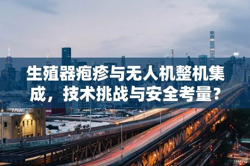 生殖器疱疹与无人机整机集成，技术挑战与安全考量？