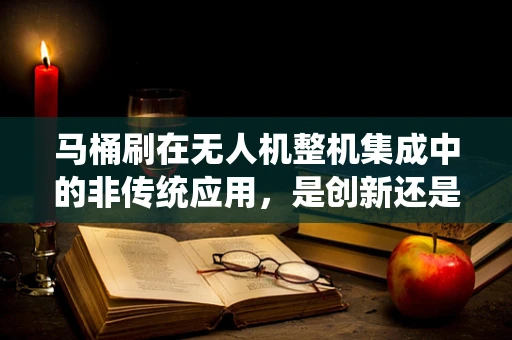 马桶刷在无人机整机集成中的非传统应用，是创新还是误用？
