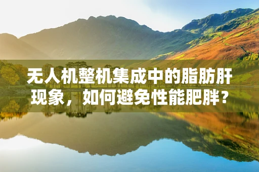 无人机整机集成中的脂肪肝现象，如何避免性能肥胖？