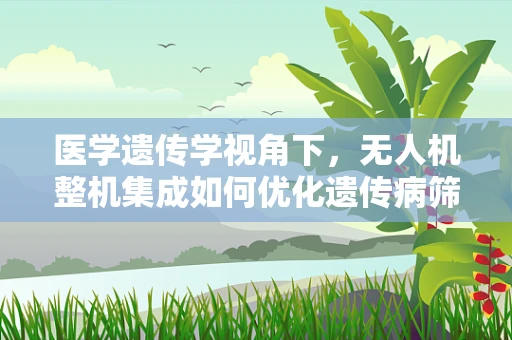 医学遗传学视角下，无人机整机集成如何优化遗传病筛查的精准度？