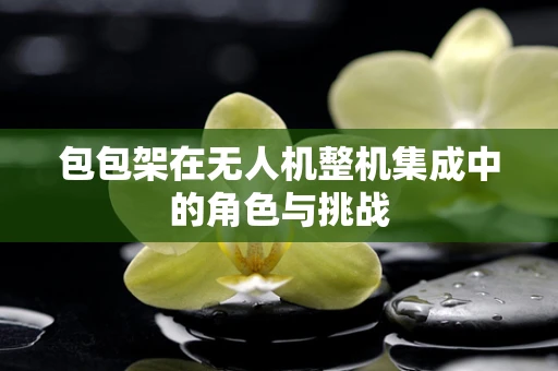 包包架在无人机整机集成中的角色与挑战
