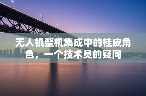 无人机整机集成中的桂皮角色，一个技术员的疑问