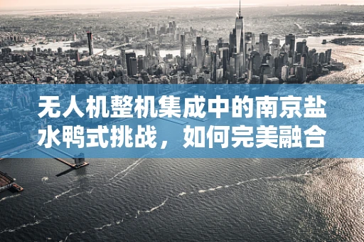 无人机整机集成中的南京盐水鸭式挑战，如何完美融合地域特色与技术创新？