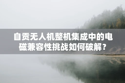 自贡无人机整机集成中的电磁兼容性挑战如何破解？
