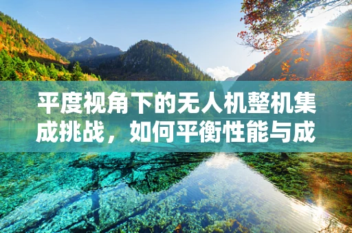 平度视角下的无人机整机集成挑战，如何平衡性能与成本？