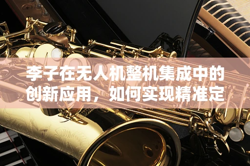 李子在无人机整机集成中的创新应用，如何实现精准定位与负载优化？