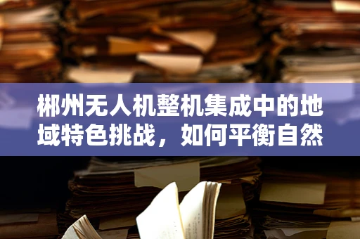 郴州无人机整机集成中的地域特色挑战，如何平衡自然环境与技术创新？