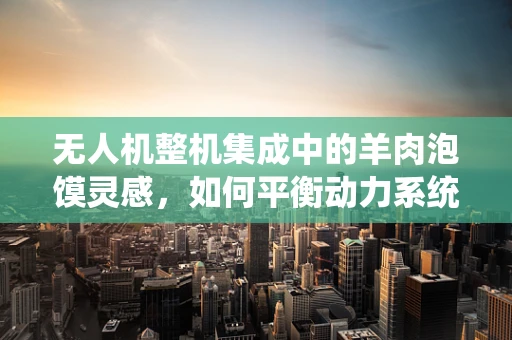 无人机整机集成中的羊肉泡馍灵感，如何平衡动力系统与地方特色美食的兼容性？