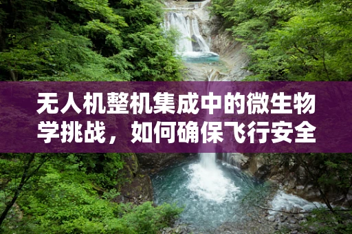 无人机整机集成中的微生物学挑战，如何确保飞行安全与健康？